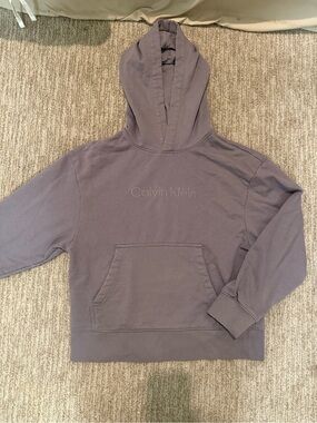 Calvin Klein Hoodie Lavender-Gray Cropped